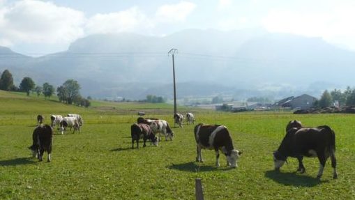 L’agriculture, l’agroalimentaire, la forêt, l’enseignement  agricole en Auvergne Rhône-Alpes