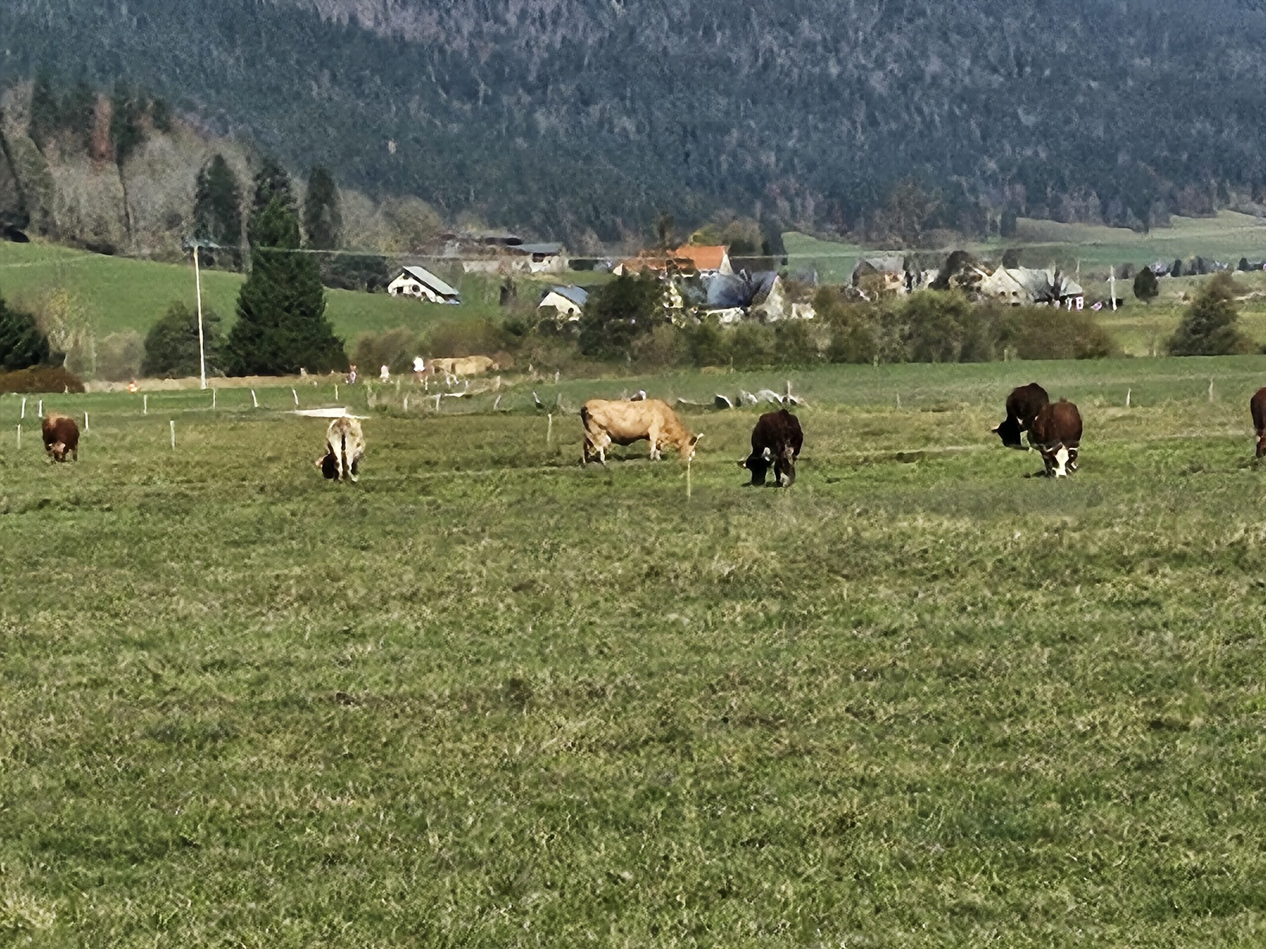 La loi montagne a 40 ans !